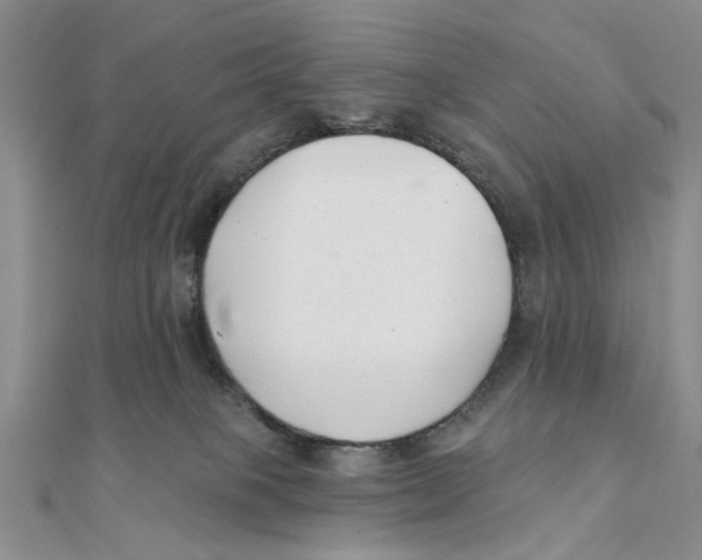 X0000111380085200908071243