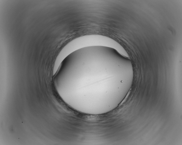 X0000111380088200908071243