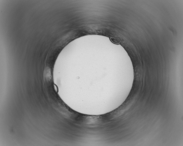 X0000111380089200908071243