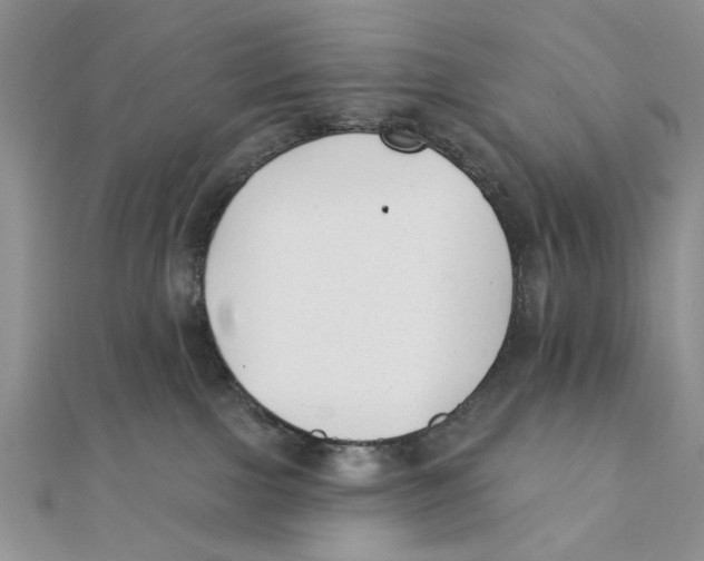 X0000111380091200908071243