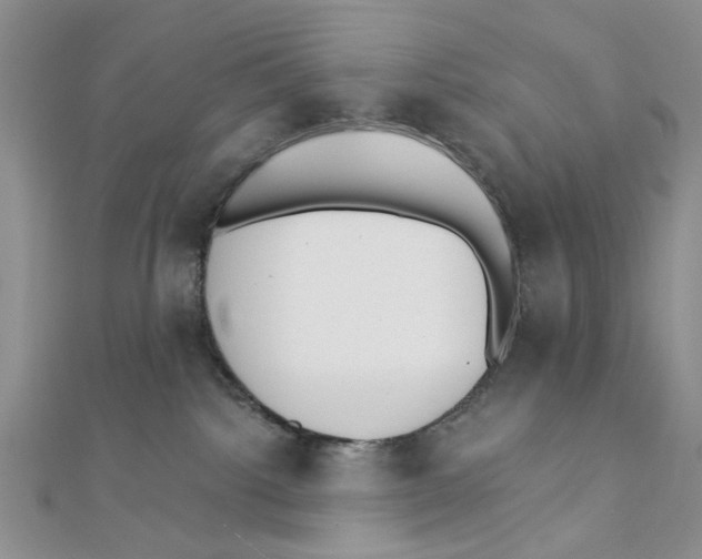 X0000111380092200908071243