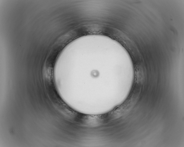 X0000111380093200908071243