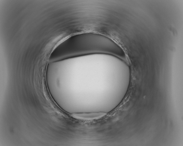 X0000111380097200908071243