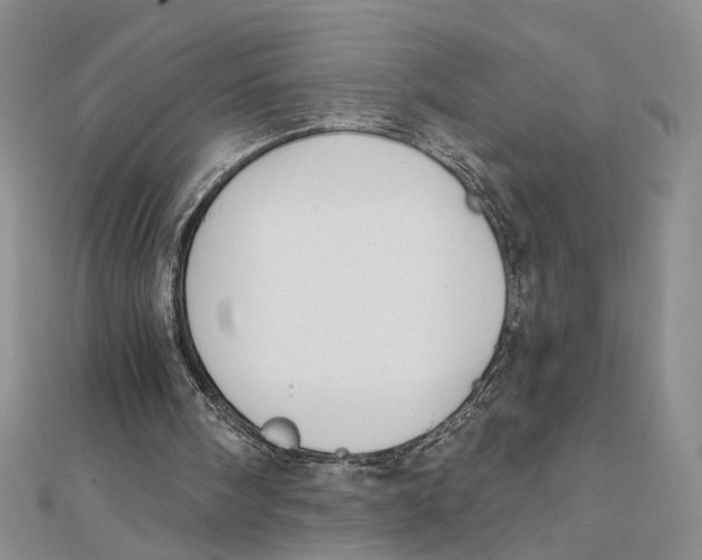 X0000111380098200908071243