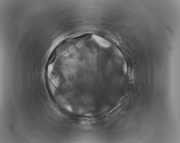 X0000111380099200908071243