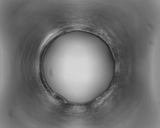 X0000111380101200908071243