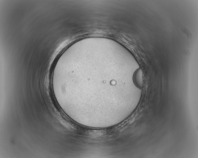 X0000111380102200908071243