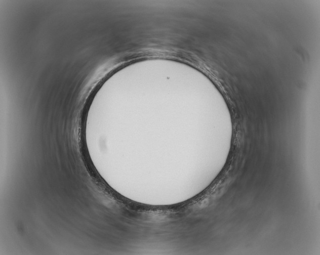 X0000111380103200908071243