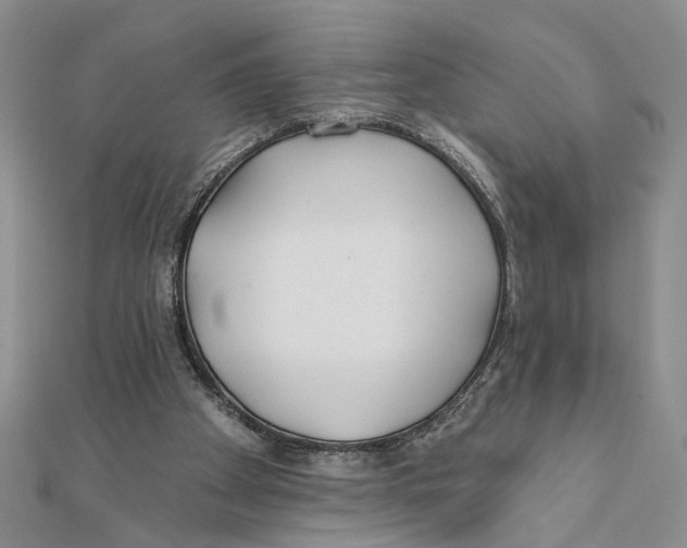 X0000111380105200908071243