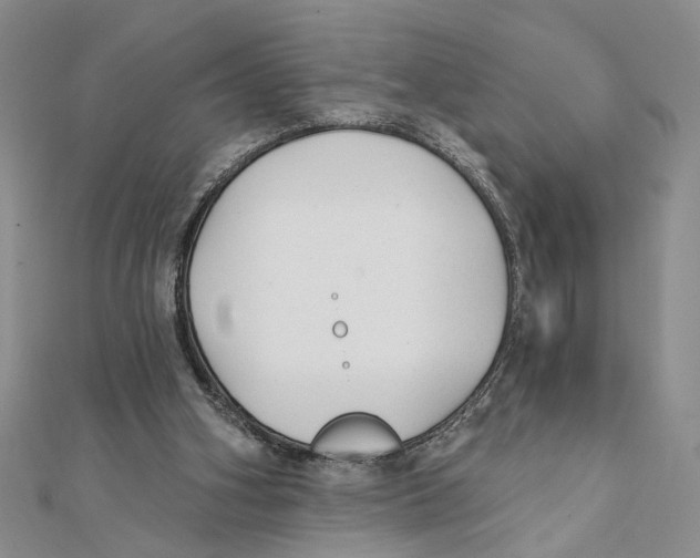 X0000111380106200908071243