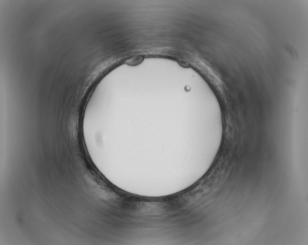 X0000111380107200908071243