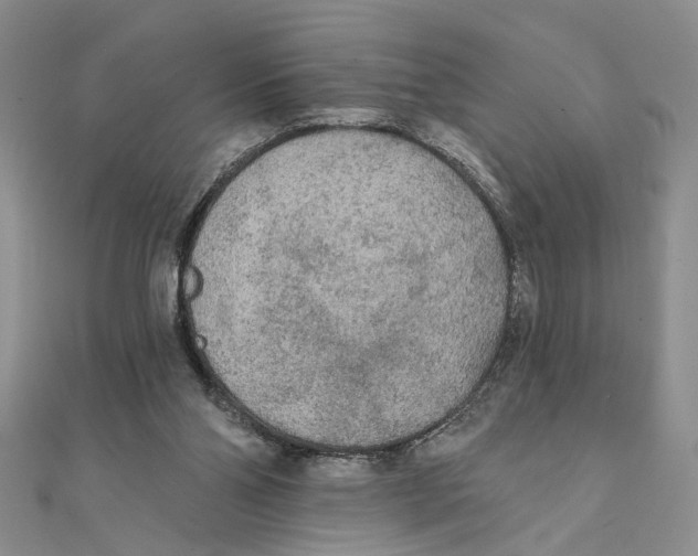 X0000111380110200908071243