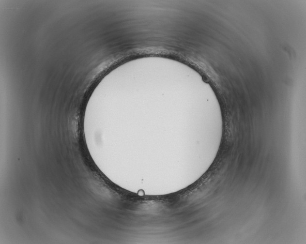 X0000111380111200908071243