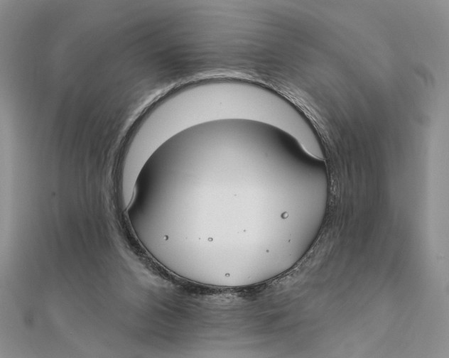 X0000111380112200908071243