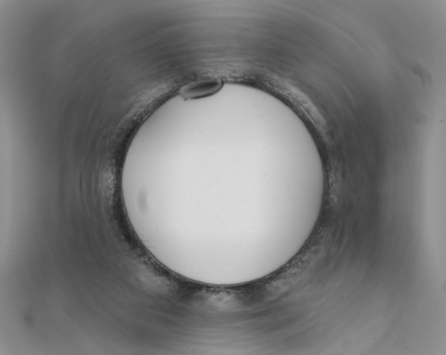 X0000111380113200908071243