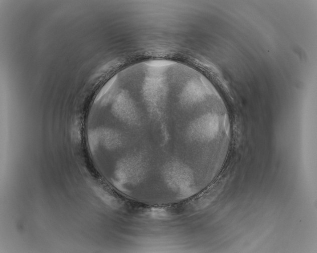 X0000111380114200908071243