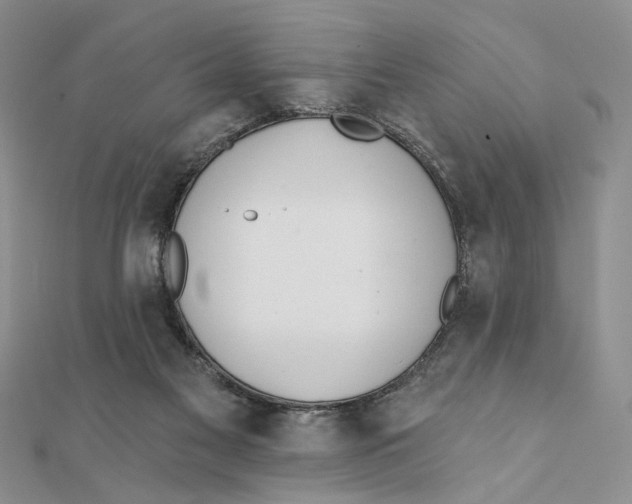 X0000111380117200908071243