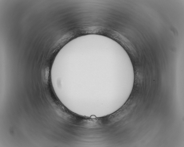 X0000111380118200908071243