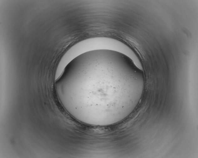 X0000111380121200908071243