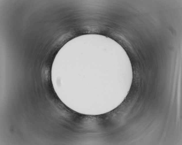 X0000111380123200908071243