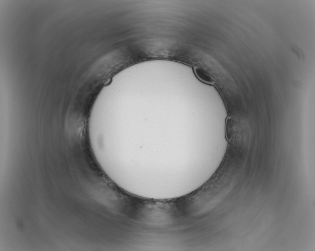 X0000111380125200908071242