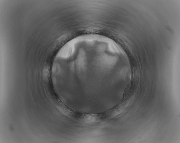 X0000111380127200908071242