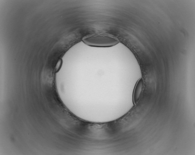 X0000111380129200908071242