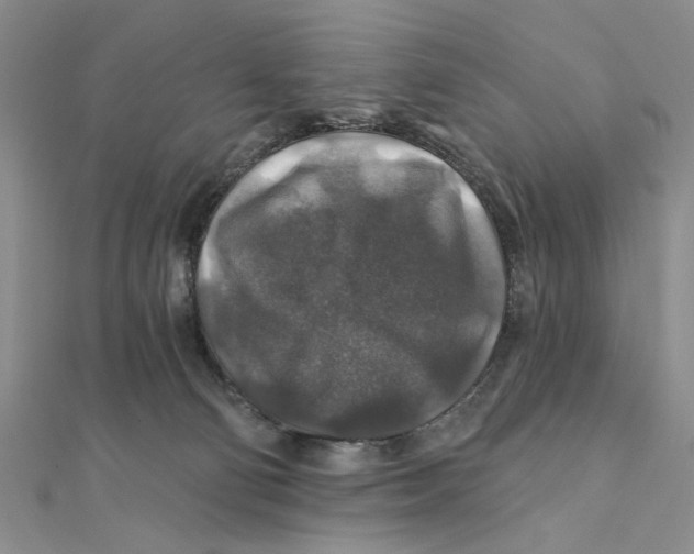 X0000111380130200908071242