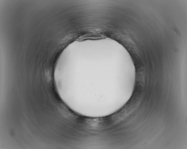 X0000111380131200908071242