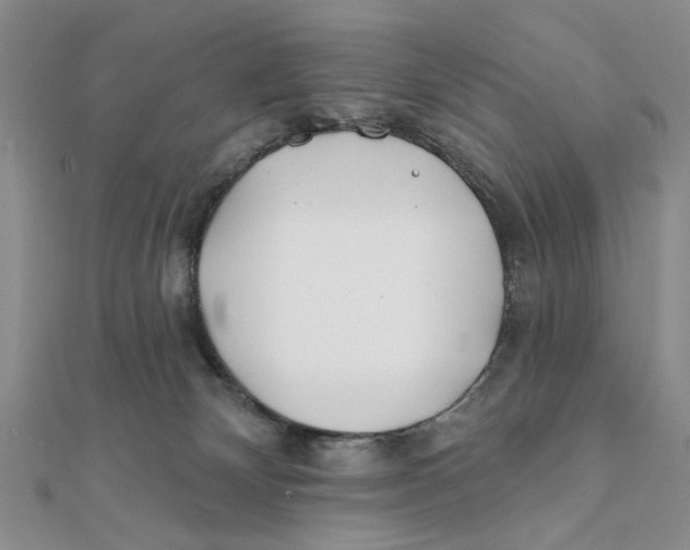 X0000111380132200908071242