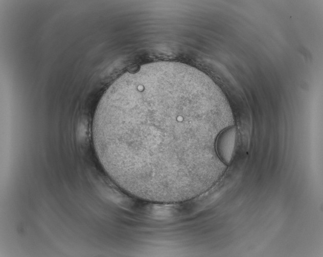 X0000111380134200908071242