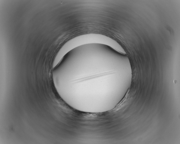 X0000111380140200908071242