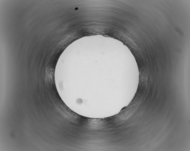 X0000111380141200908071242