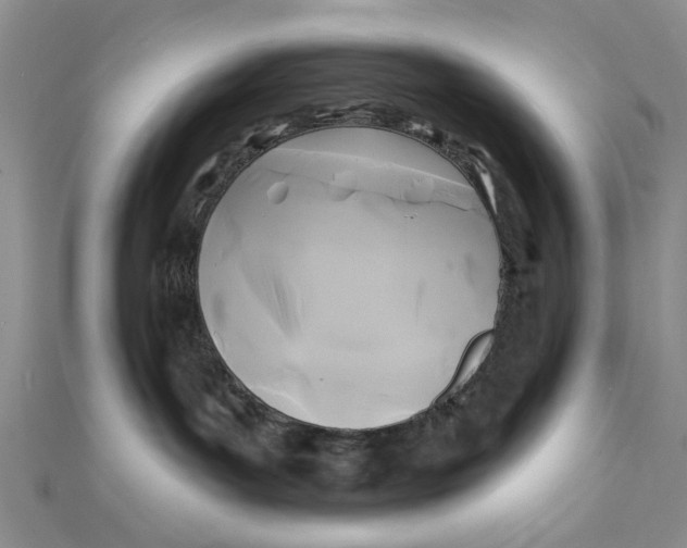 X0000111380143200908071242