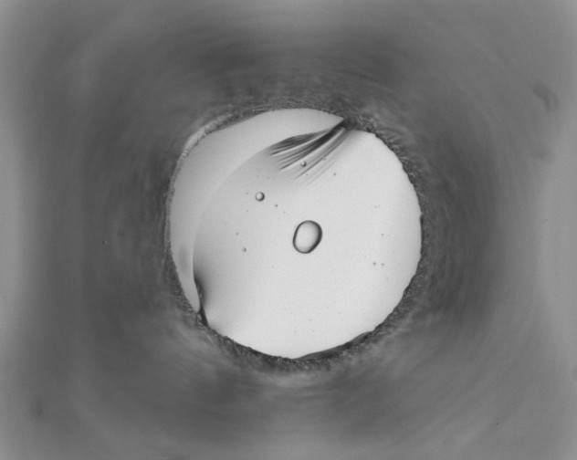 X0000111380144200908071242