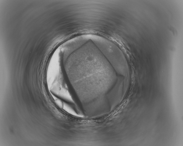 X0000111380145200908071242