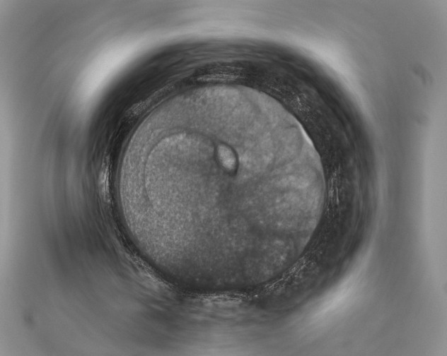 X0000111380146200908071242