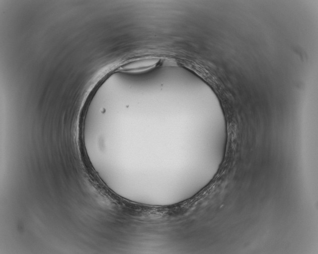 X0000111380148200908071242