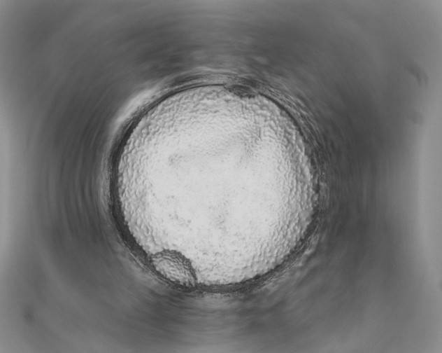 X0000111380149200908071242