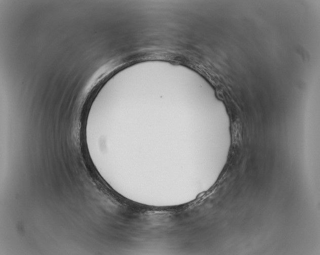 X0000111380150200908071242