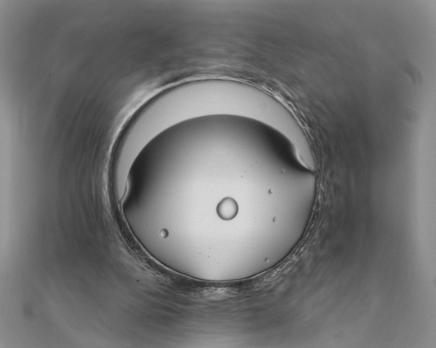 X0000111380152200908071242