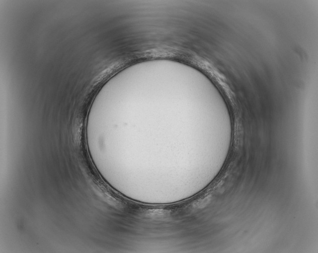 X0000111380153200908071242