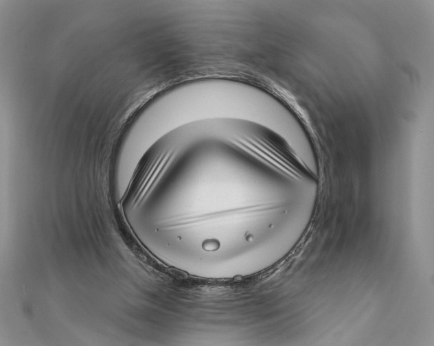 X0000111380154200908071242