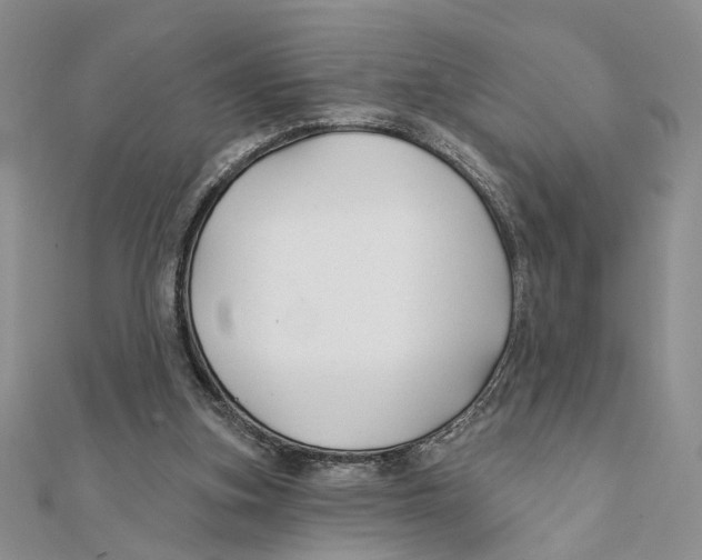 X0000111380155200908071242