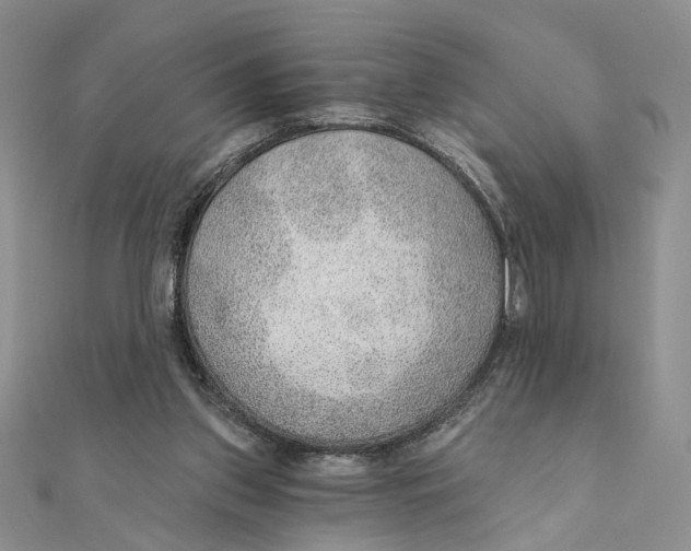 X0000111380157200908071242