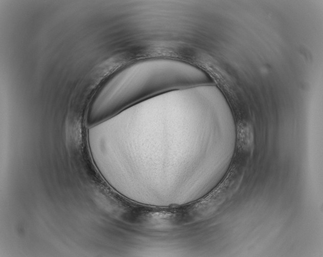 X0000111380158200908071242