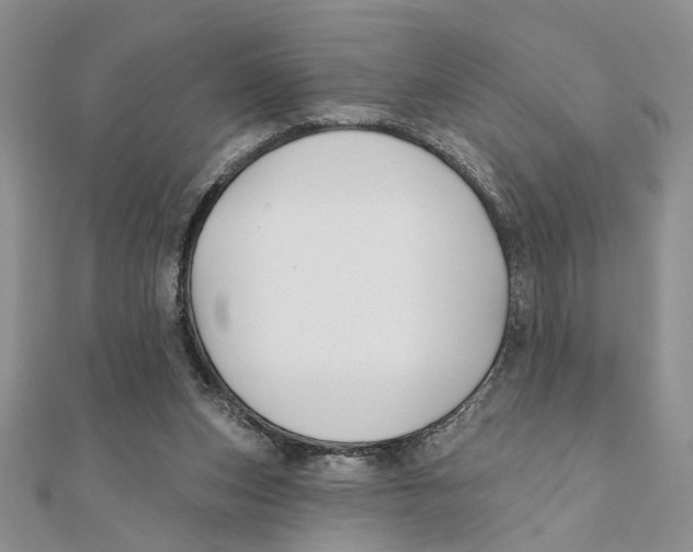 X0000111380159200908071242