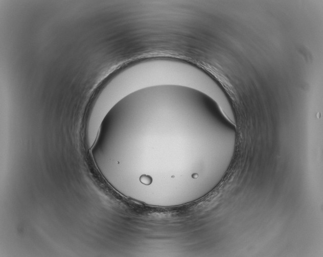 X0000111380160200908071242