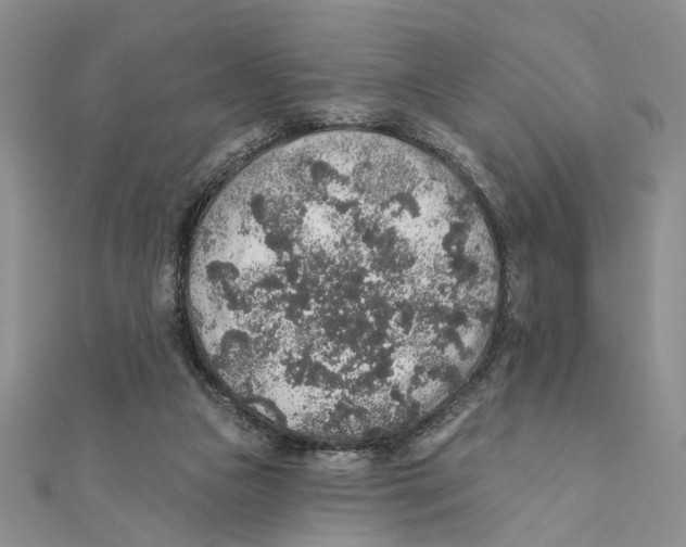 X0000111380161200908071242