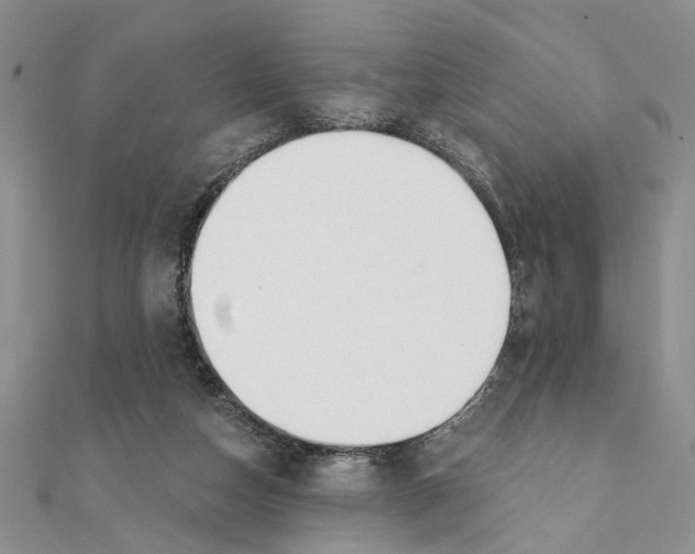 X0000111380162200908071242